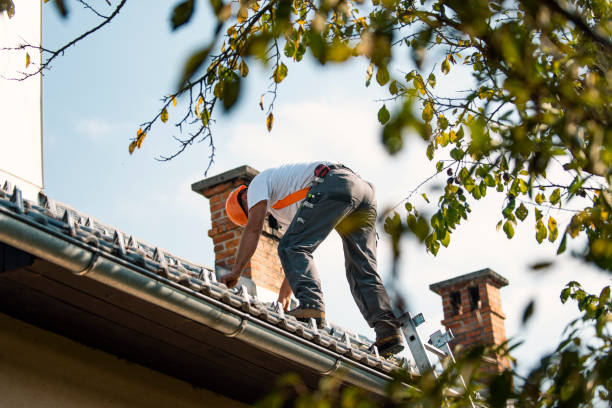 Best New Roof Installation  in Latimer, MS