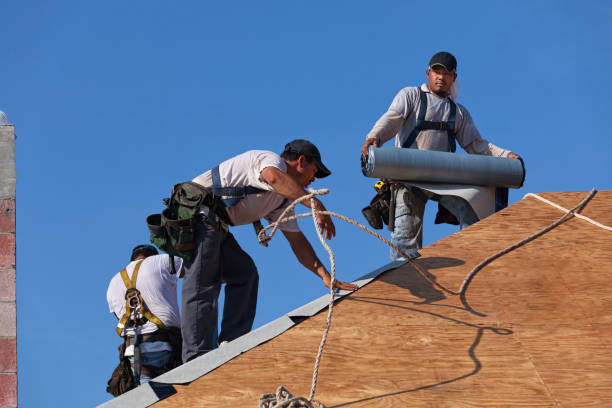 Best Roof Waterproofing Services  in Latimer, MS