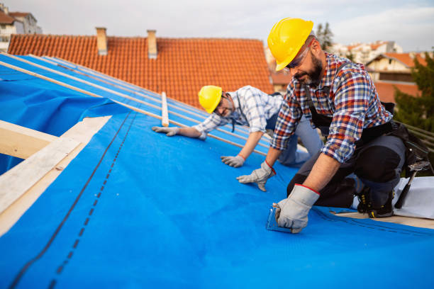 Best New Roof Installation  in Latimer, MS