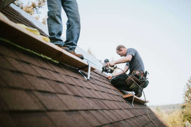 Best Gutter Installation and Roofing  in Latimer, MS